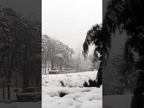 Kabul during snow برف در کابل