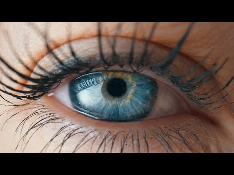 Why Do We Blink?