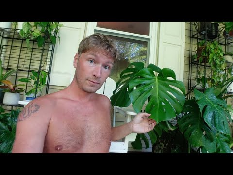 Planty Porch and Garden Tour! | URBAN FARMBOYS