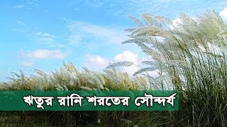 Beauty Of Autumn | ঋতুর রানি শরতের অবাক করা সৌন্দর্য | Autumn | শরৎ