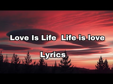 Love is life life is love 💞(Lyrics) English love song 2025🎵🎵🎶