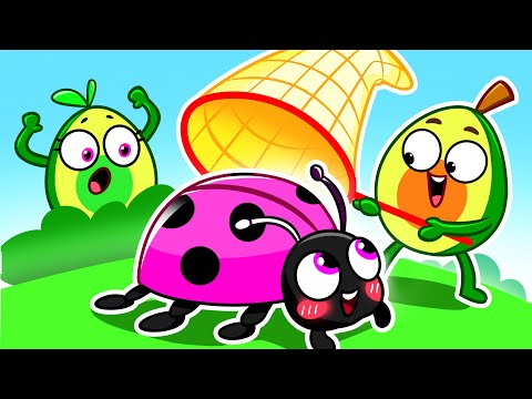 Pit and Penny Catch Bugs at Home | Don't Play with Ants | Kids Educational Songs