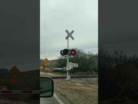 Railroad Crossing By My House