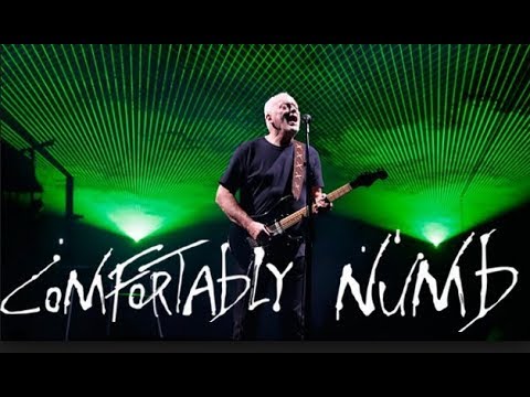 David Gilmour " Comfortably Numb " Royale Albert Hall 2006