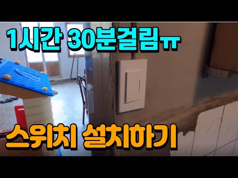 #21 [귀촌 브이로그] 한 시간 반 걸린 스위치 셀프 교체