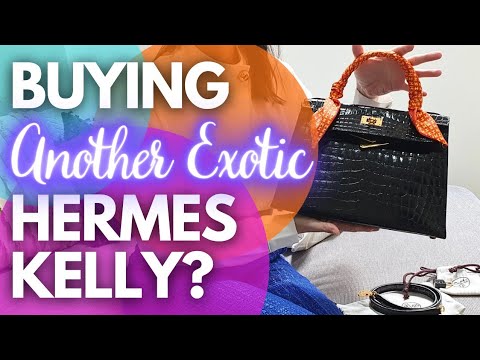 BUYING ANOTHER EXOTIC HERMÈS KELLY?