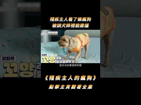 殘疾主人養了條瘋狗，被訓犬師禮貌建議，先照顧好自己再養狗#shorts