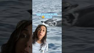 Dolphins 🐬 Use “Baby Talk”when Communicating with their Babies! Amazing Animal Facts!