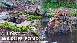 I Built a Wildlife Pond... and so Many Animals Came | Wildlife Habitats | Robert E Fuller