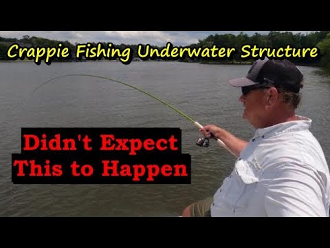 Crappie Fishing Underwater structure in Summer