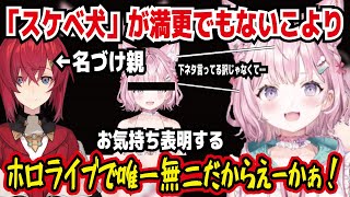 「スケベ犬」が満更でもないこより アンジュに名づけられたスケベ犬が使ってるうちにしっくりくる 下ネタ言ってるわけじゃなくて魅力があるってことだから【ホロライブ/博衣こより】