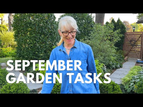 3 Things To Do In the September Garden