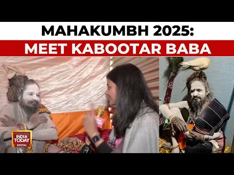 Meet Kabootar Baba | Viral Babas Of Mahakumbh 2025 | Mahakumbh, Prayagraj | India Today Exclusive