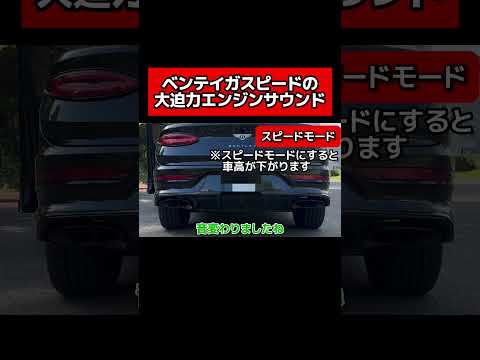 【ベントレー】ベンテイガスピードのマフラー音　#まぁくん #車 #bentley #ベントレー