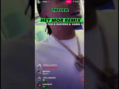 FEID, OZUNA, KAROL G & QUEVEDO - HEY MOR REMIX!! (PREVIEW) | #shorts