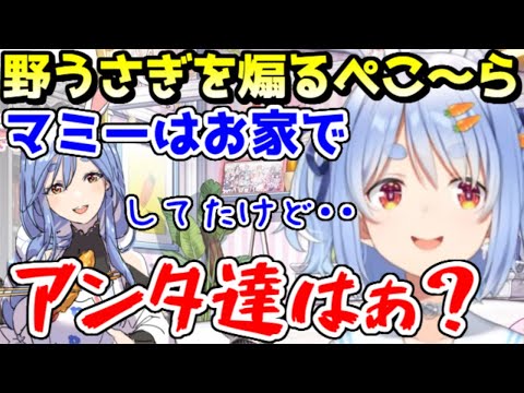 誰よりも野うさぎなマミーの話で、対抗心を煽ってくるぺこーらｗ【ホロライブ／切り抜き】