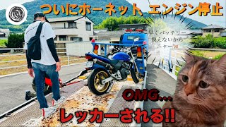 ホーネットついにエンジン停止！レッカーされる😂#バイク#ホーネット250#s1000r