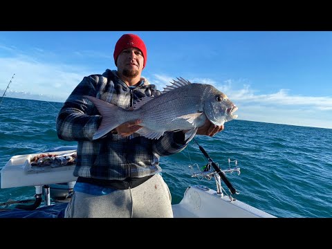 Fishing in the shallows (west Australia)