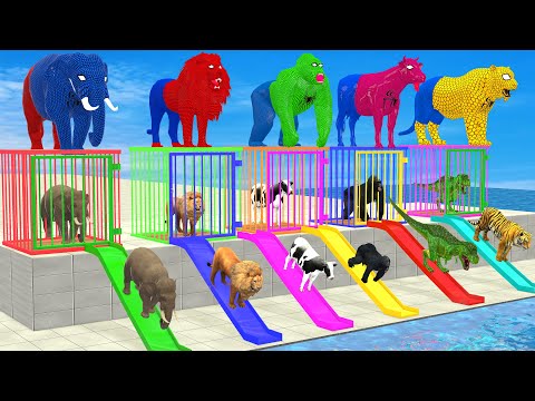 Cow Elephant Lion Gorilla Tiger T-Rex Choose The Right Baby ESCAPE ROOM CHALLENGE Animals Cage Game