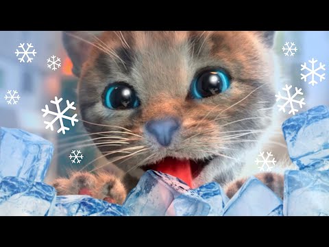 CUTE LITTLE KITTEN ADVENTURE OF SNOW 😺❄️⛄ Little Cat Cartoon Animation for Kids ❄️