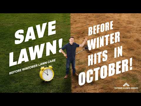 October Lawn Care: Simple Steps to Keep Your Grass Healthy Before Winter