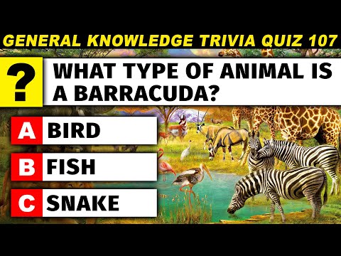 Trivia Quiz To Test Your Brain Power - What Animal Is A Barracuda? Episode 107