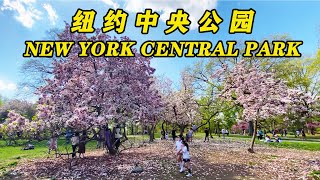 纽约中央公园（New York Central Park）～ 全球大都市中最美的城市中心公园