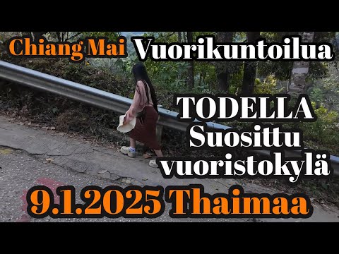 Chiang Mai Yömarket Ja Suosittuun Vuoristokylään Kahville 9.1.2025 Thaimaa