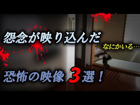 【悪い霊】怨念が映り込んだ恐怖の映像3選！なにかいる…