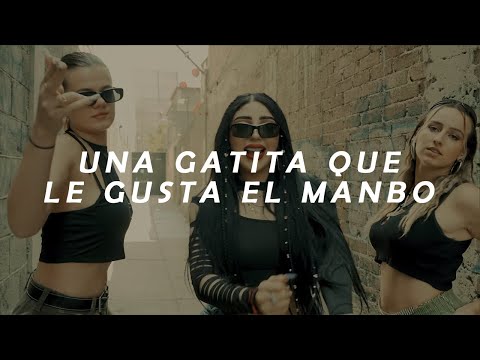 una gatita que le gusta el mambo (Letra/Lyrics) GATITA- Bellakath