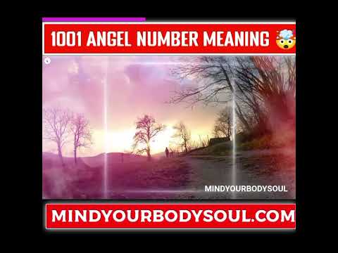 "🔥 UNVEILING the Secrets of Angel Number 1001: What Does It REALLY Mean? 😇"