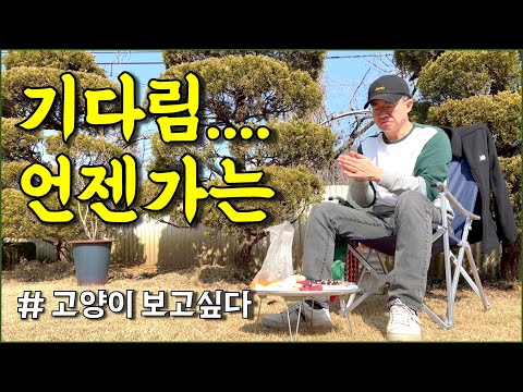 고양이를 다시 볼 수 있을까? / countryside, wainting for cat, someday