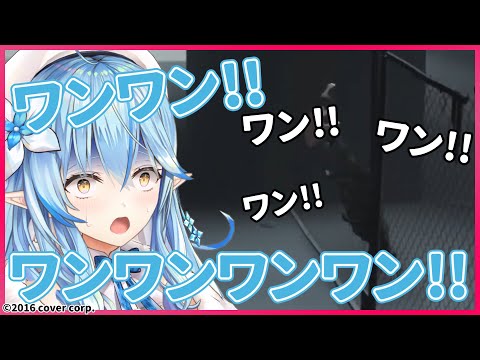 犬と死闘を繰り広げるラミィちゃん、犬と一緒に吠える【ホロライブ/雪花ラミィ/切り抜き】