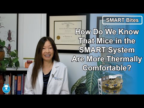 SMART Bites | How Do We Know That Mice in the SMART System Are More Thermally Comfortable?