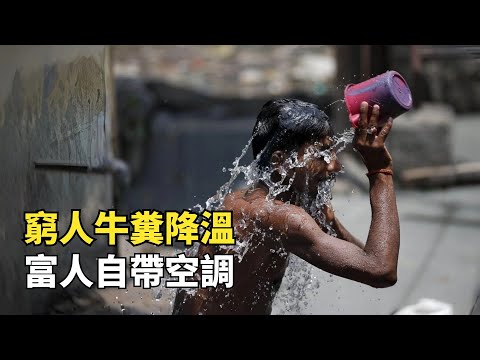 印度奪命高溫，52.9度破歴史紀錄，窮人開始用牛糞降溫