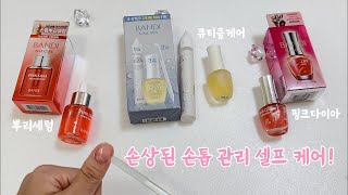 반디 국민네일영양제로 손톱 셀프 케어하기 💅