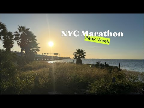 Did I make it through my Peak Week Mileage before NYC Marathon 2024?