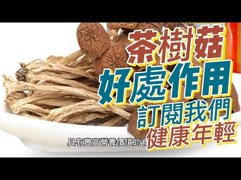 EP 199 茶樹菇，又稱椎茸（Shiitake Mushrooms）好處與作用