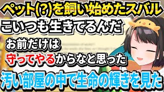 生命の尊さを感じた話や後輩に対してつい世話を焼いてしまう面倒見のいいスバル【ホロライブ/大空スバル】