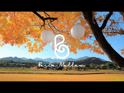 Soft piano classic to listen to on a cool autumn day 🎵 cafe music no ADㅣfall healing