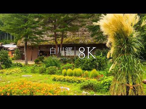 [Shirakawa-go at the end of summer] 14 spectacular views of unexplored villages - JAPAN in 8K