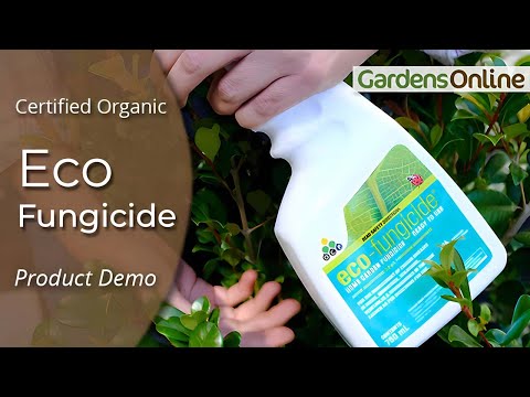 Eco Fungicide