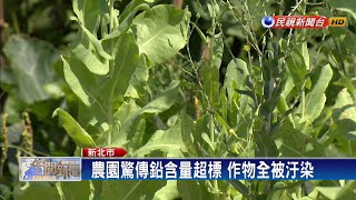 鉛含量超標！新北樂活農園全面禁止採收－民視新聞