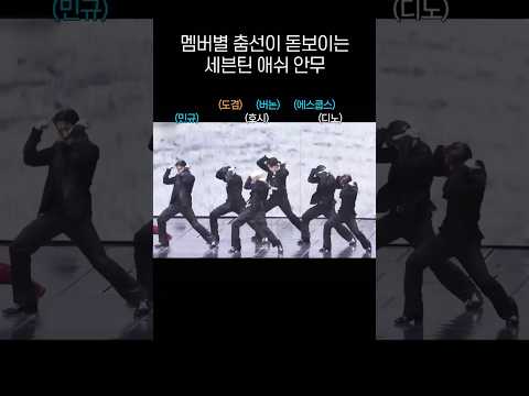 SEVENTEEN Members' Dance Lines in Ash Choreography