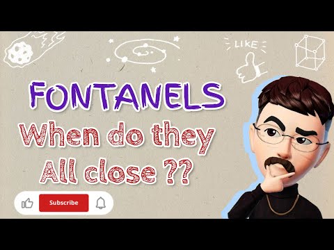 Fontanels in Babies: What You Need to Know |Baby Soft Spots: When Do They Close? 🤔