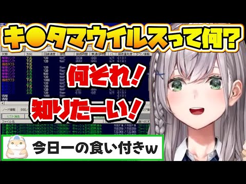 知識欲が抑えられず日曜の昼間からキ●タマを連呼する団長w【白銀ノエル/ホロライブ】