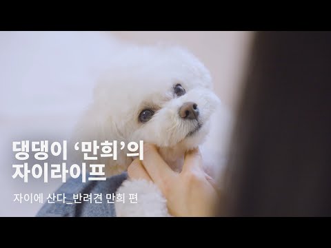 BA MOMENT | 댕댕이 ‘만희’의 자이라이프