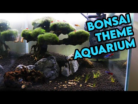 Renovating a Bonsai Themed Aquarium [DESIGN]