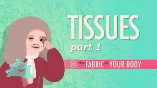 Tissues, Part 1: Crash Course Anatomy & Physiology #2