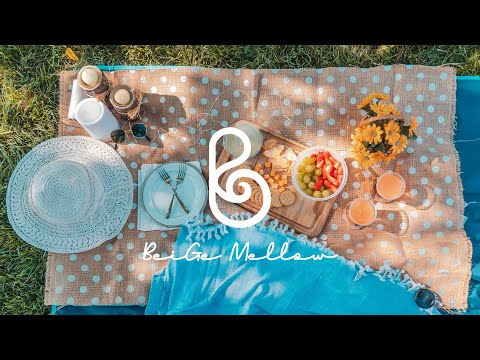 A picnic with warm spring sunshine